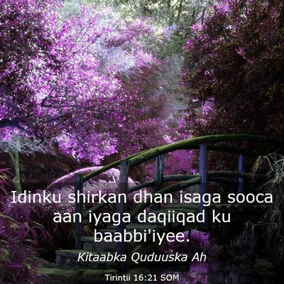 Picture 03 - Tirintii 16:21 SOM - Idinku shirkan dhan isaga sooca aan iyaga - Bible Verse Picture