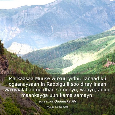Picture 03 - Tirintii 16:28 SOM - Markaasaa Muuse wuxuu yidhi, Tanaad ku - Bible Verse Picture