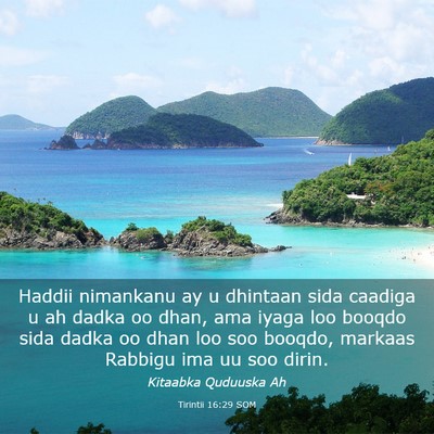 Picture 03 - Tirintii 16:29 SOM - Haddii nimankanu ay u dhintaan sida caadiga u ah - Bible Verse Picture