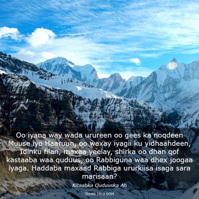 Picture 03 - Tirintii 16:3 SOM - Oo iyana way wada urureen oo gees ka noqdeen - Bible Verse Picture