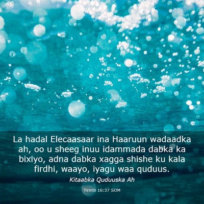 Picture 03 - Tirintii 16:37 SOM - La hadal Elecaasaar ina Haaruun wadaadka ah, oo u - Bible Verse Picture