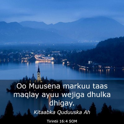 Picture 03 - Tirintii 16:4 SOM - Oo Muusena markuu taas maqlay ayuu wejiga dhulka - Bible Verse Picture