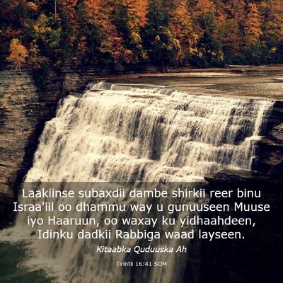 Picture 03 - Tirintii 16:41 SOM - Laakiinse subaxdii dambe shirkii reer binu - Bible Verse Picture