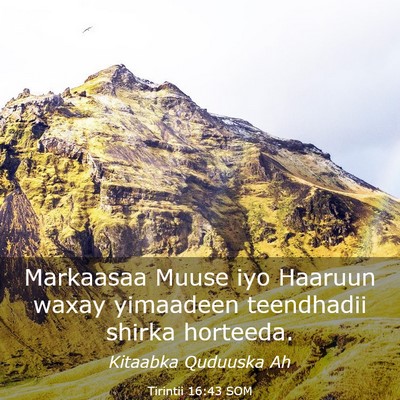 Picture 03 - Tirintii 16:43 SOM - Markaasaa Muuse iyo Haaruun waxay yimaadeen - Bible Verse Picture