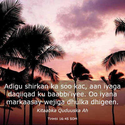 Picture 03 - Tirintii 16:45 SOM - Adigu shirkan ka soo kac, aan iyaga daqiiqad ku - Bible Verse Picture