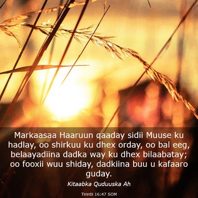 Picture 03 - Tirintii 16:47 SOM - Markaasaa Haaruun qaaday sidii Muuse ku hadlay, - Bible Verse Picture