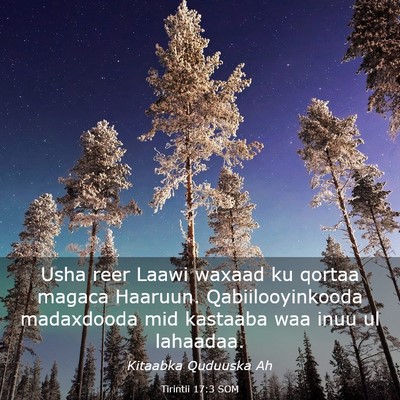 Picture 03 - Tirintii 17:3 SOM - Usha reer Laawi waxaad ku qortaa magaca Haaruun. - Bible Verse Picture