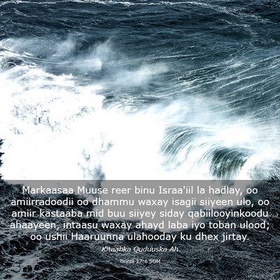 Picture 03 - Tirintii 17:6 SOM - Markaasaa Muuse reer binu Israa'iil la hadlay, oo - Bible Verse Picture