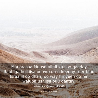 Picture 03 - Tirintii 17:9 SOM - Markaasaa Muuse ulihii ka soo qaaday Rabbiga - Bible Verse Picture