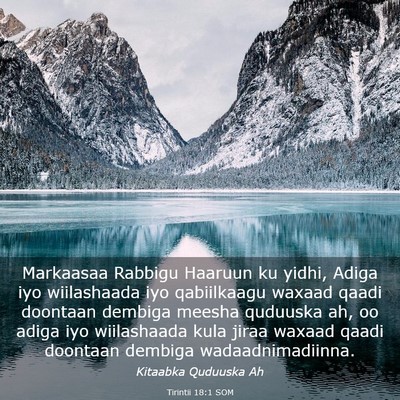 Picture 03 - Tirintii 18:1 SOM - Markaasaa Rabbigu Haaruun ku yidhi, Adiga iyo - Bible Verse Picture