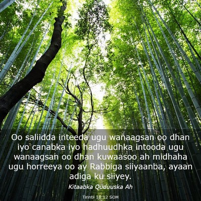 Picture 03 - Tirintii 18:12 SOM - Oo saliidda inteeda ugu wanaagsan oo dhan iyo - Bible Verse Picture