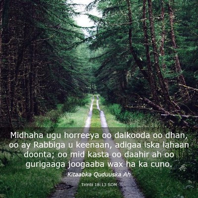 Picture 03 - Tirintii 18:13 SOM - Midhaha ugu horreeya oo dalkooda oo dhan, oo ay - Bible Verse Picture
