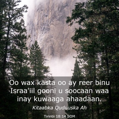 Picture 03 - Tirintii 18:14 SOM - Oo wax kasta oo ay reer binu Israa'iil gooni u - Bible Verse Picture