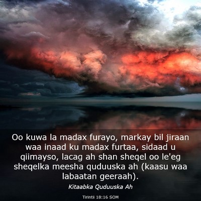 Picture 03 - Tirintii 18:16 SOM - Oo kuwa la madax furayo, markay bil jiraan waa - Bible Verse Picture