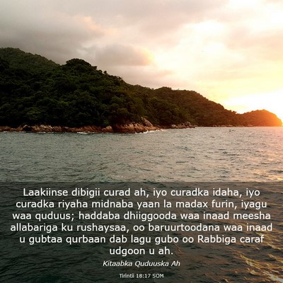 Picture 03 - Tirintii 18:17 SOM - Laakiinse dibigii curad ah, iyo curadka idaha, - Bible Verse Picture