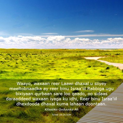 Picture 03 - Tirintii 18:24 SOM - Waayo, waxaan reer Laawi dhaxal u siiyey - Bible Verse Picture