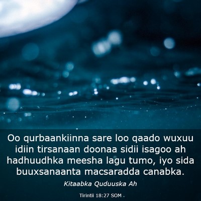 Picture 03 - Tirintii 18:27 SOM - Oo qurbaankiinna sare loo qaado wuxuu idiin - Bible Verse Picture