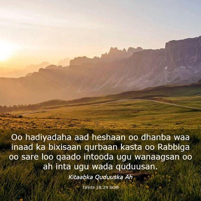 Picture 03 - Tirintii 18:29 SOM - Oo hadiyadaha aad heshaan oo dhanba waa inaad ka - Bible Verse Picture