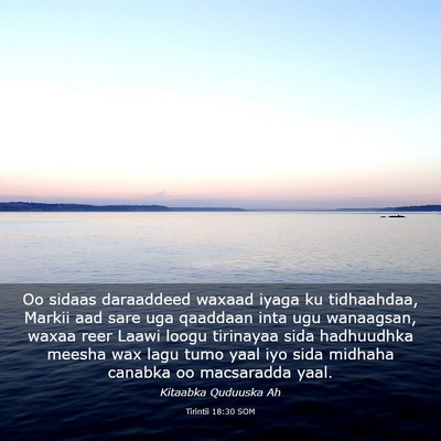 Picture 03 - Tirintii 18:30 SOM - Oo sidaas daraaddeed waxaad iyaga ku tidhaahdaa, - Bible Verse Picture