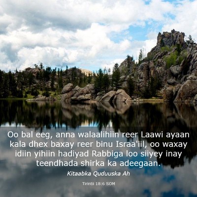 Picture 03 - Tirintii 18:6 SOM - Oo bal eeg, anna walaalihiin reer Laawi ayaan - Bible Verse Picture