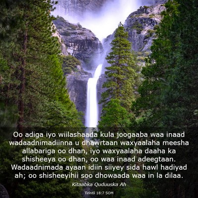 Picture 03 - Tirintii 18:7 SOM - Oo adiga iyo wiilashaada kula joogaaba waa inaad - Bible Verse Picture