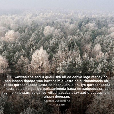 Picture 03 - Tirintii 18:9 SOM - Kulli waxyaalaha aad u quduuska ah oo dabka laga - Bible Verse Picture