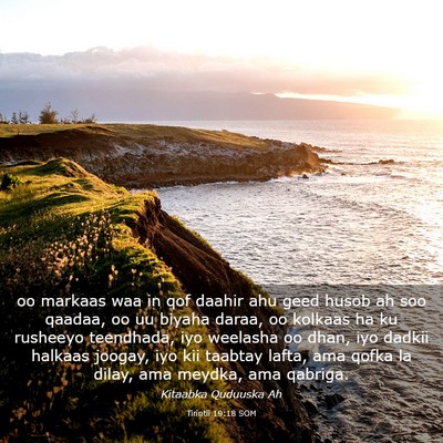 Picture 03 - Tirintii 19:18 SOM - oo markaas waa in qof daahir ahu geed husob ah - Bible Verse Picture
