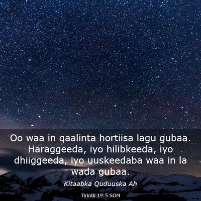 Picture 03 - Tirintii 19:5 SOM - Oo waa in qaalinta hortiisa lagu gubaa. - Bible Verse Picture
