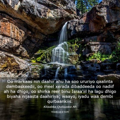 Picture 03 - Tirintii 19:9 SOM - Oo markaas nin daahir ahu ha soo ururiyo qaalinta - Bible Verse Picture