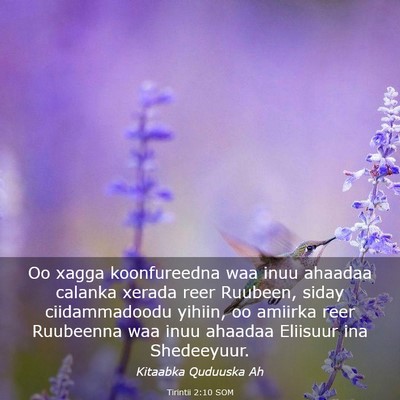 Picture 03 - Tirintii 2:10 SOM - Oo xagga koonfureedna waa inuu ahaadaa calanka - Bible Verse Picture