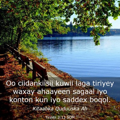 Picture 03 - Tirintii 2:13 SOM - Oo ciidankiisii kuwii laga tiriyey waxay ahaayeen - Bible Verse Picture