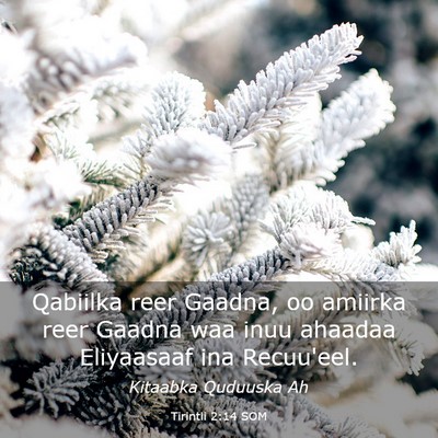 Picture 03 - Tirintii 2:14 SOM - Qabiilka reer Gaadna, oo amiirka reer Gaadna waa - Bible Verse Picture