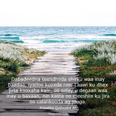 Picture 03 - Tirintii 2:17 SOM - Dabadeedna teendhada shirku waa inay baxdaa, - Bible Verse Picture