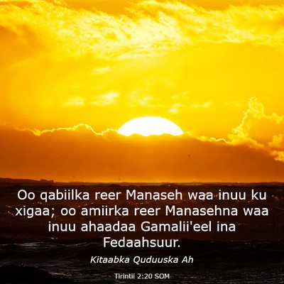 Picture 03 - Tirintii 2:20 SOM - Oo qabiilka reer Manaseh waa inuu ku xigaa; oo - Bible Verse Picture