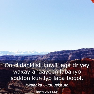 Picture 03 - Tirintii 2:21 SOM - Oo ciidankiisii kuwii laga tiriyey waxay ahaayeen - Bible Verse Picture