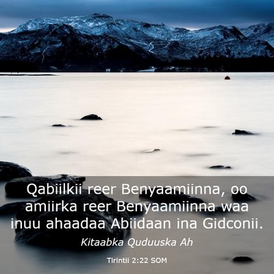 Picture 03 - Tirintii 2:22 SOM - Qabiilkii reer Benyaamiinna, oo amiirka reer - Bible Verse Picture