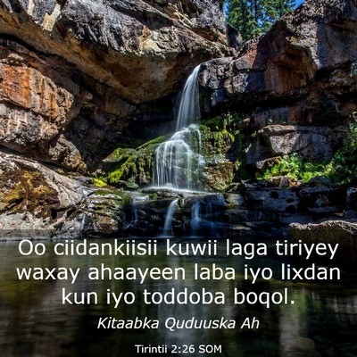 Picture 03 - Tirintii 2:26 SOM - Oo ciidankiisii kuwii laga tiriyey waxay ahaayeen - Bible Verse Picture