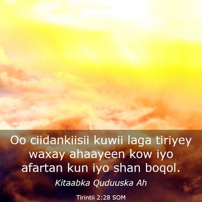 Picture 03 - Tirintii 2:28 SOM - Oo ciidankiisii kuwii laga tiriyey waxay ahaayeen - Bible Verse Picture