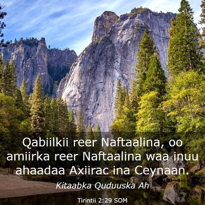 Picture 03 - Tirintii 2:29 SOM - Qabiilkii reer Naftaalina, oo amiirka reer - Bible Verse Picture