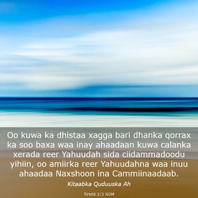 Picture 03 - Tirintii 2:3 SOM - Oo kuwa ka dhistaa xagga bari dhanka qorrax ka - Bible Verse Picture