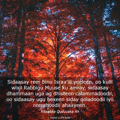 Picture 03 - Tirintii 2:34 SOM - Sidaasay reer binu Israa'iil yeeleen, oo kulli - Bible Verse Picture