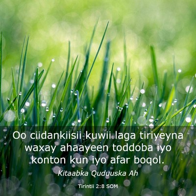Picture 03 - Tirintii 2:8 SOM - Oo ciidankiisii kuwii laga tiriyeyna waxay - Bible Verse Picture