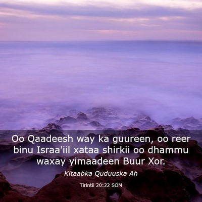 Picture 03 - Tirintii 20:22 SOM - Oo Qaadeesh way ka guureen, oo reer binu - Bible Verse Picture