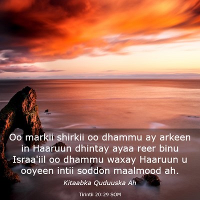 Picture 03 - Tirintii 20:29 SOM - Oo markii shirkii oo dhammu ay arkeen in Haaruun - Bible Verse Picture