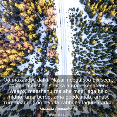 Picture 03 - Tirintii 20:5 SOM - Oo maxaadse dalkii Masar nooga soo bixiseen, oo - Bible Verse Picture