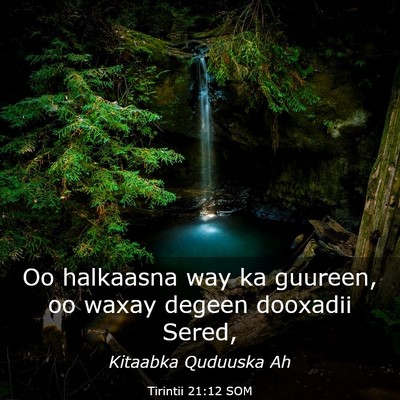 Picture 03 - Tirintii 21:12 SOM - Oo halkaasna way ka guureen, oo waxay degeen - Bible Verse Picture