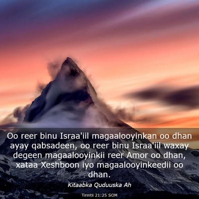 Picture 03 - Tirintii 21:25 SOM - Oo reer binu Israa'iil magaalooyinkan oo dhan - Bible Verse Picture