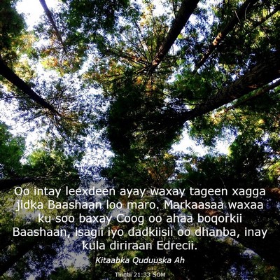 Picture 03 - Tirintii 21:33 SOM - Oo intay leexdeen ayay waxay tageen xagga jidka - Bible Verse Picture