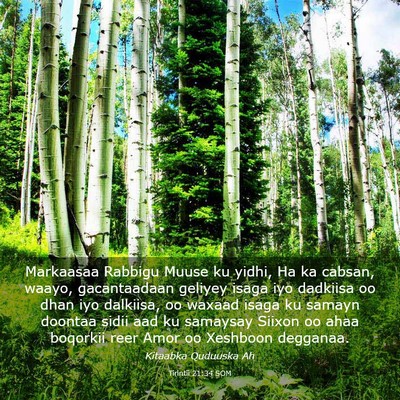 Picture 03 - Tirintii 21:34 SOM - Markaasaa Rabbigu Muuse ku yidhi, Ha ka cabsan, - Bible Verse Picture