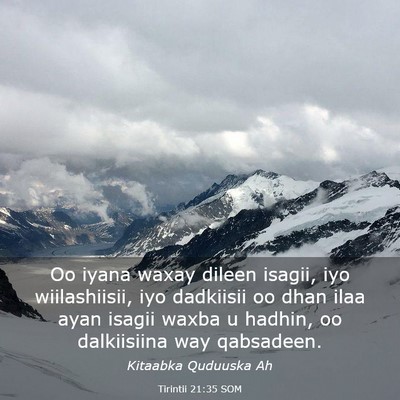 Picture 03 - Tirintii 21:35 SOM - Oo iyana waxay dileen isagii, iyo wiilashiisii, - Bible Verse Picture